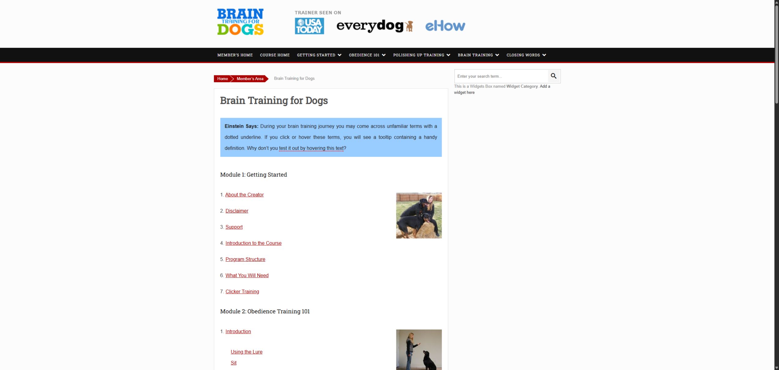 Brain Training for Dogs course index showing introductory links and the start of the obedience module.