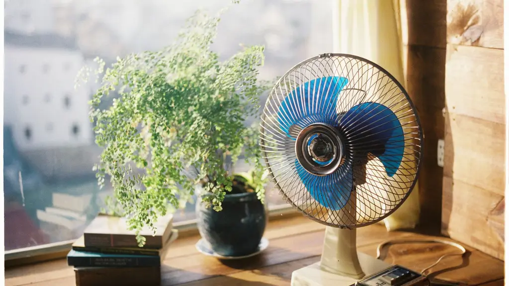 The Best Fan in Saudi Arabia (2026)